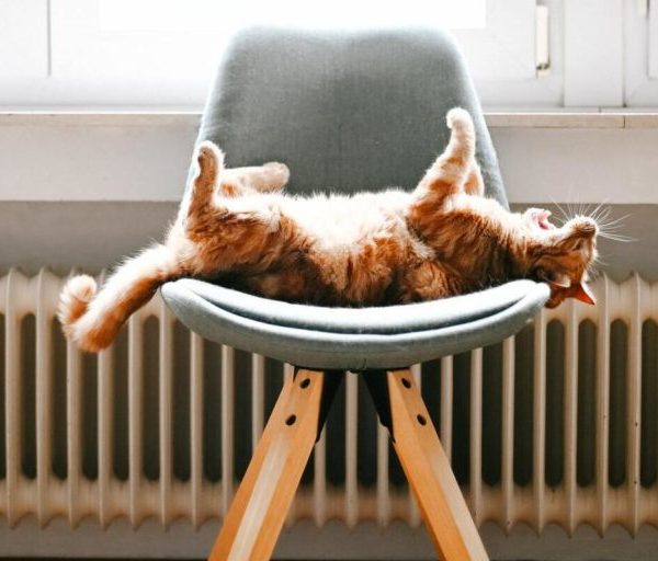 Avantages Chaudière Électrique